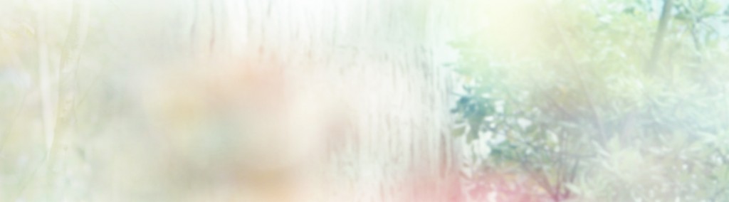 Abakus – Internet provajder